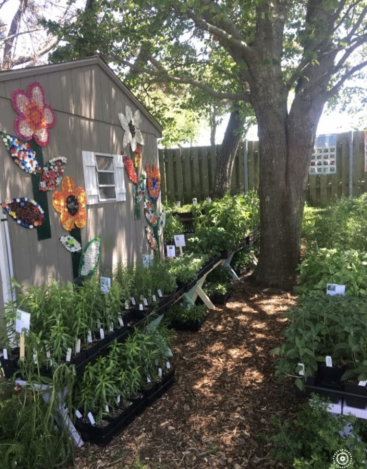 Nature Center of Cape May New Jersey Audubon