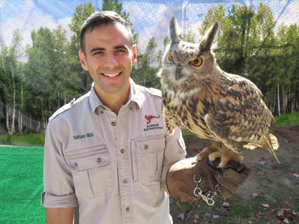 Cape May Fall Festival New Jersey Audubon