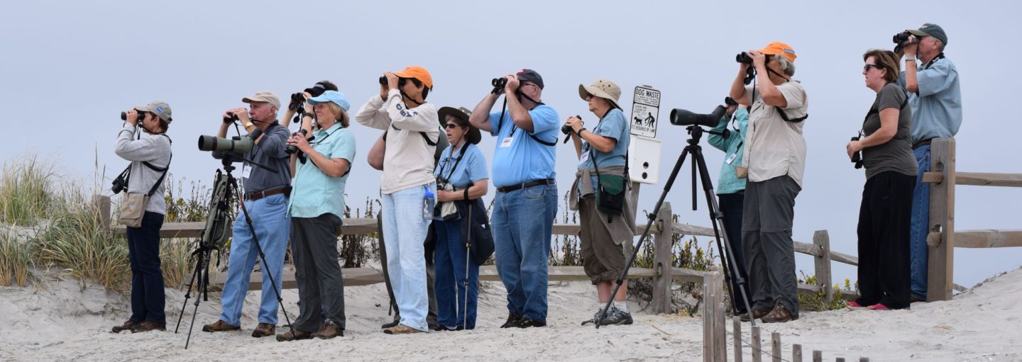 New Jersey Audubon Making New Jersey a Better Place for People and Wildlife since 1897