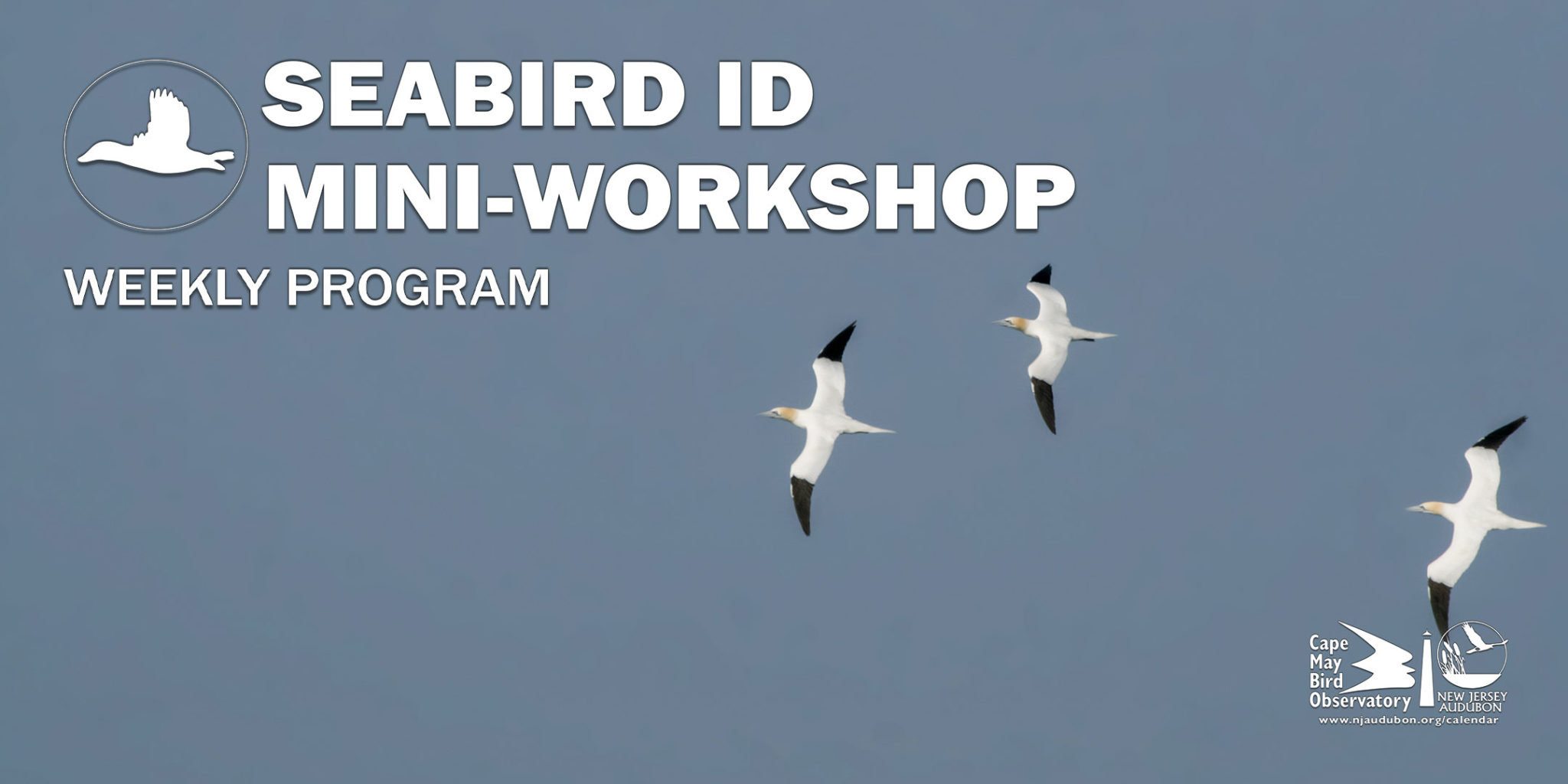 Events for November 2025 › › New Jersey Audubon