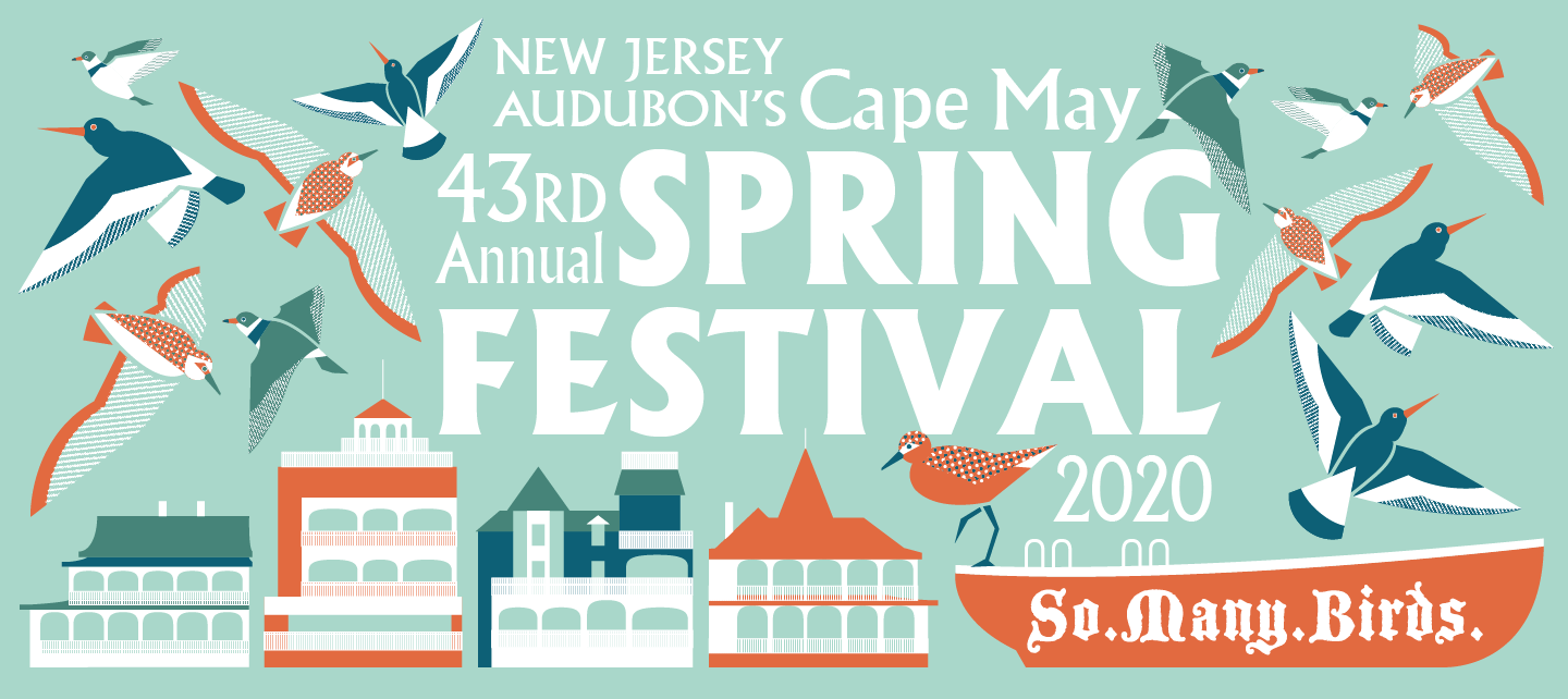 Cape May Spring Festival Virtual Edition New Jersey Audubon