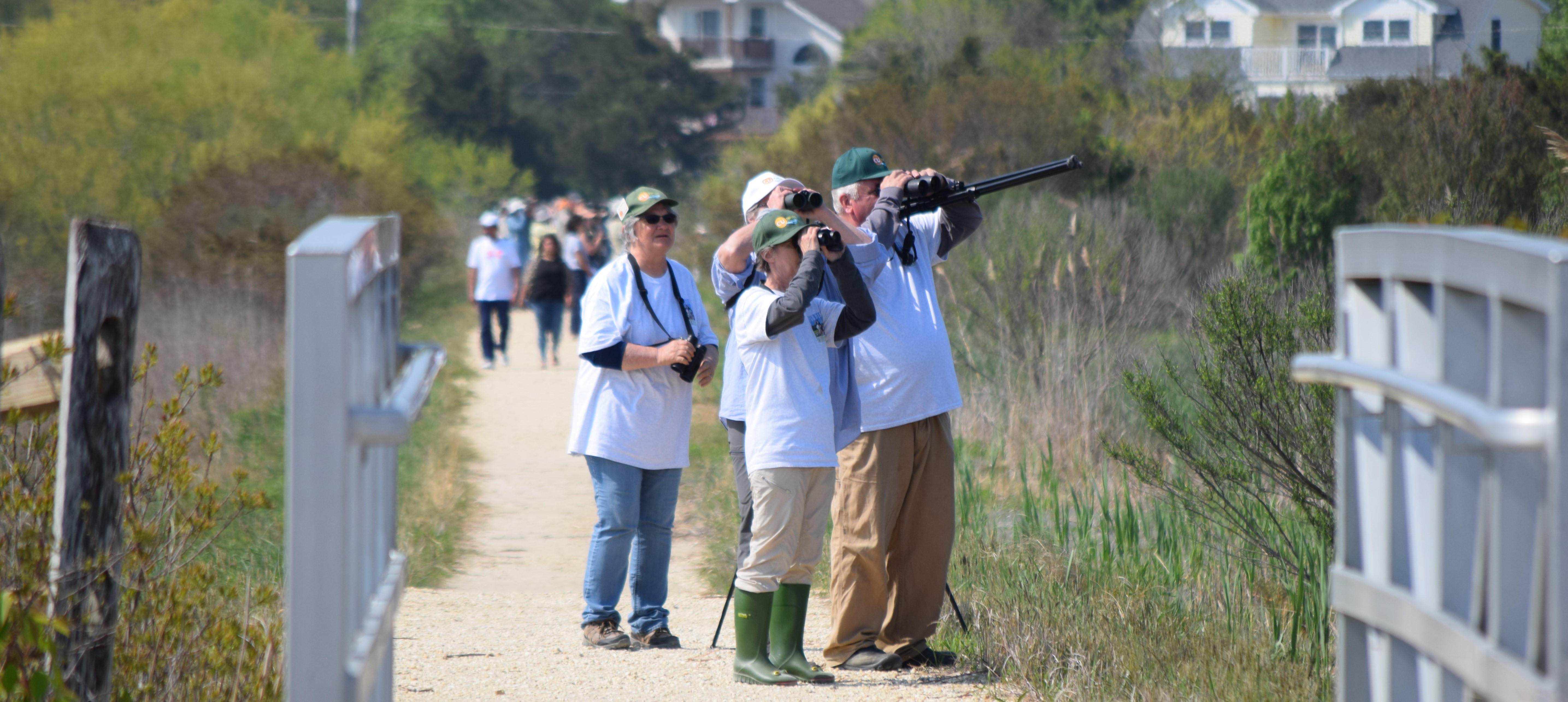 36th World Series of Birding New Jersey Audubon