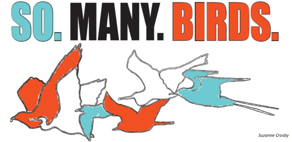 Cape May Fall Festival New Jersey Audubon