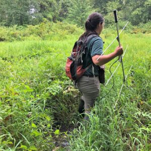 NJ Audubon's Carolyn Degurski tracking bog turtles