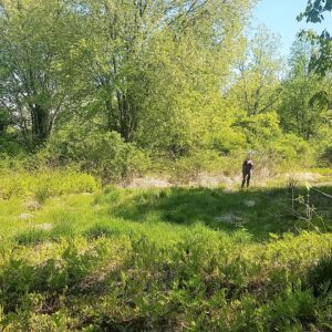 Kristen in the bog turtle field