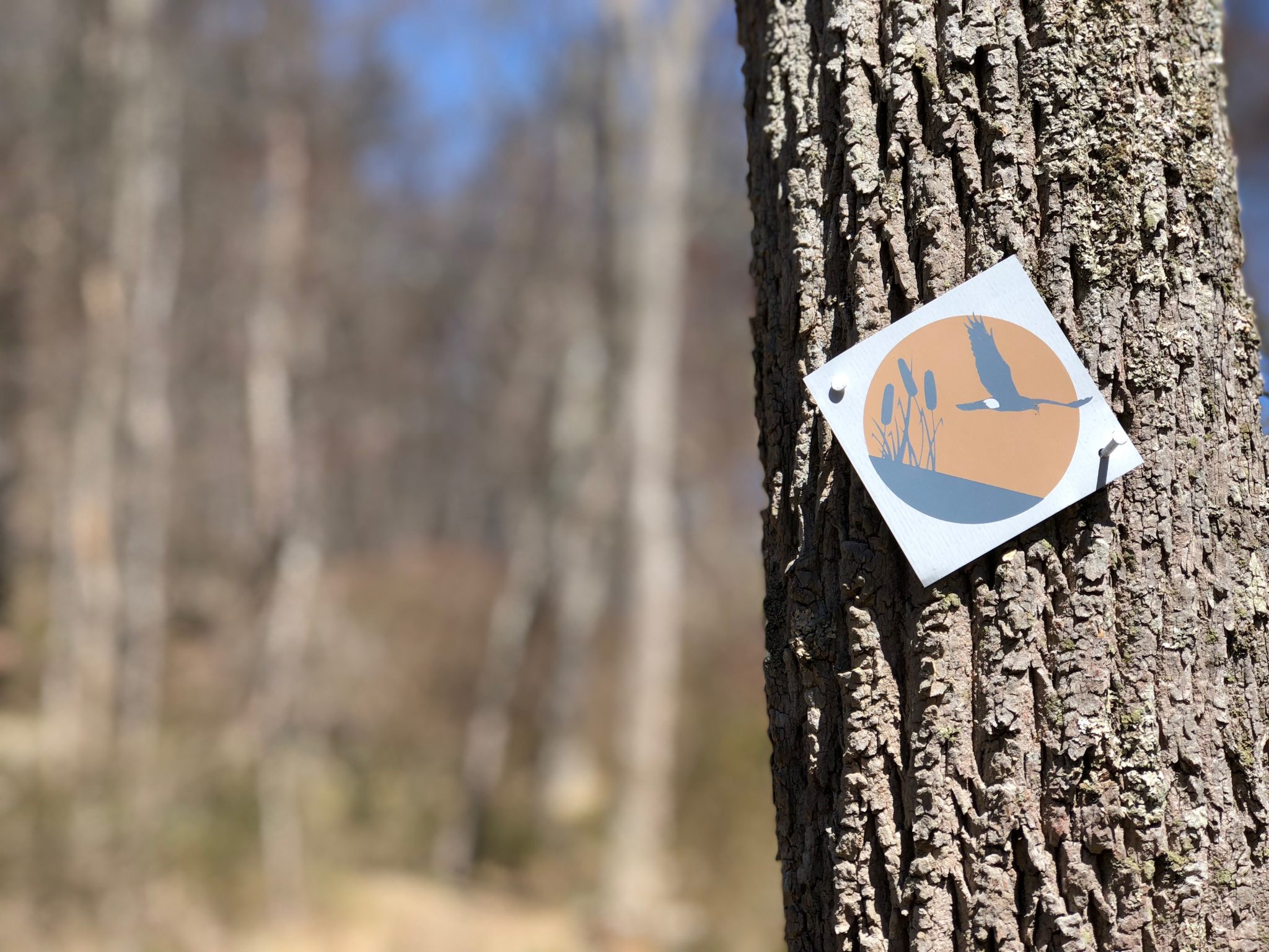 New Jersey Audubon Supports a Sustainable Future New Jersey Audubon