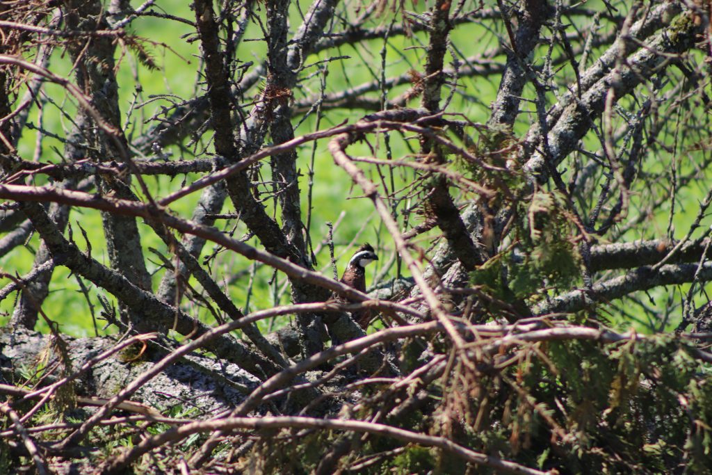 NJA Helps Farmer to Become First Cranberry Producer to be Approved for