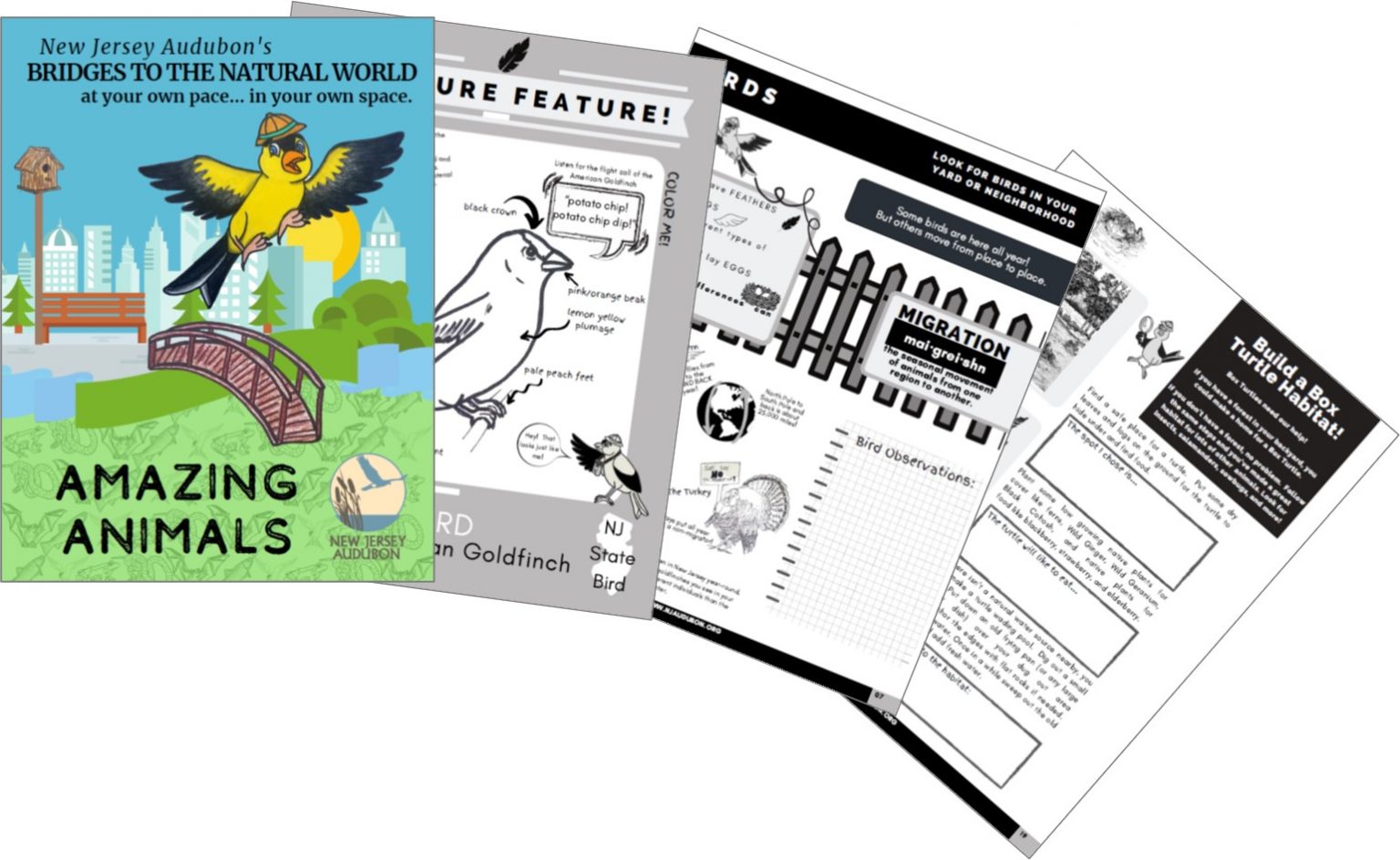 Educational Programs New Jersey Audubon