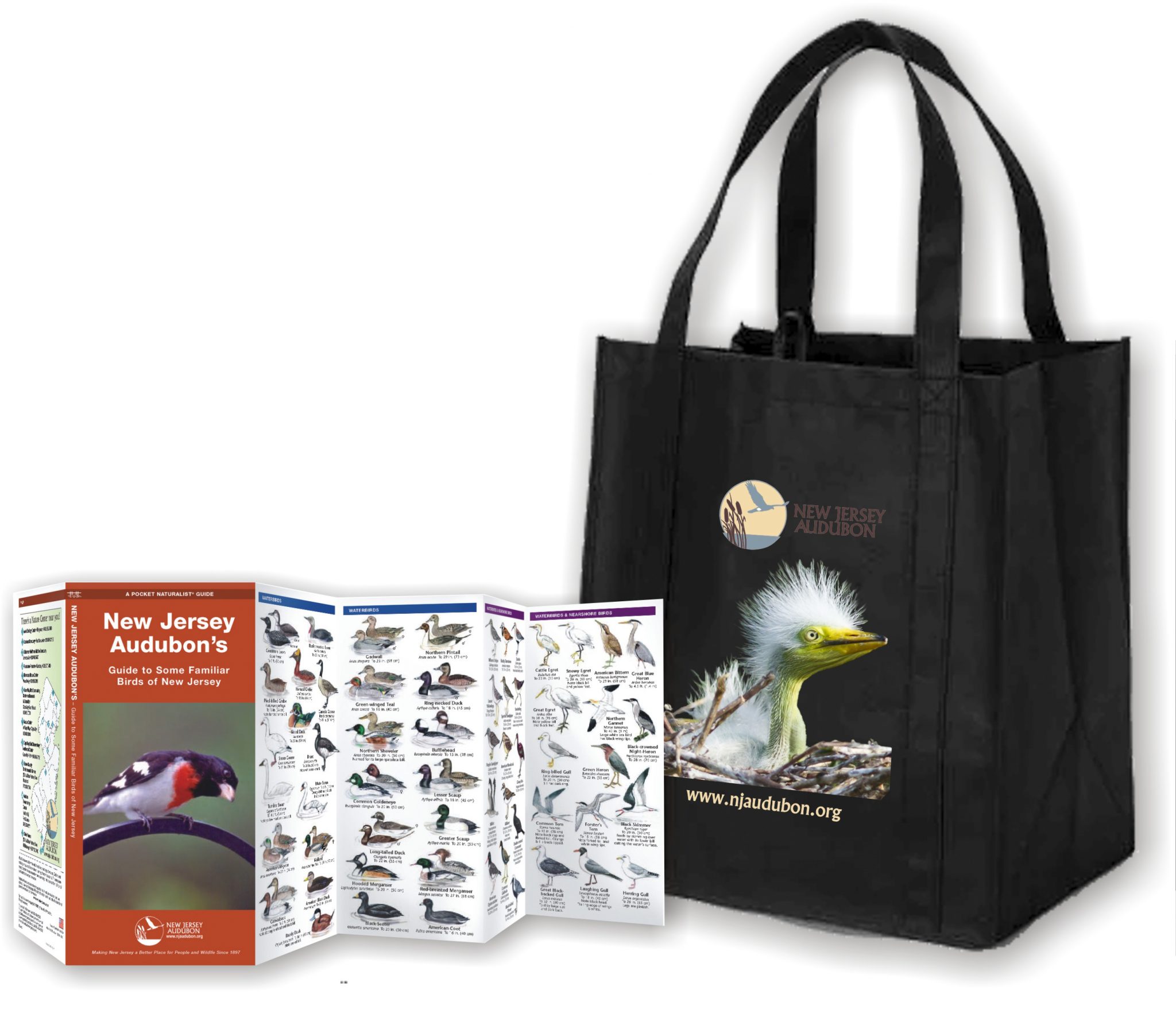 Membership New Jersey Audubon