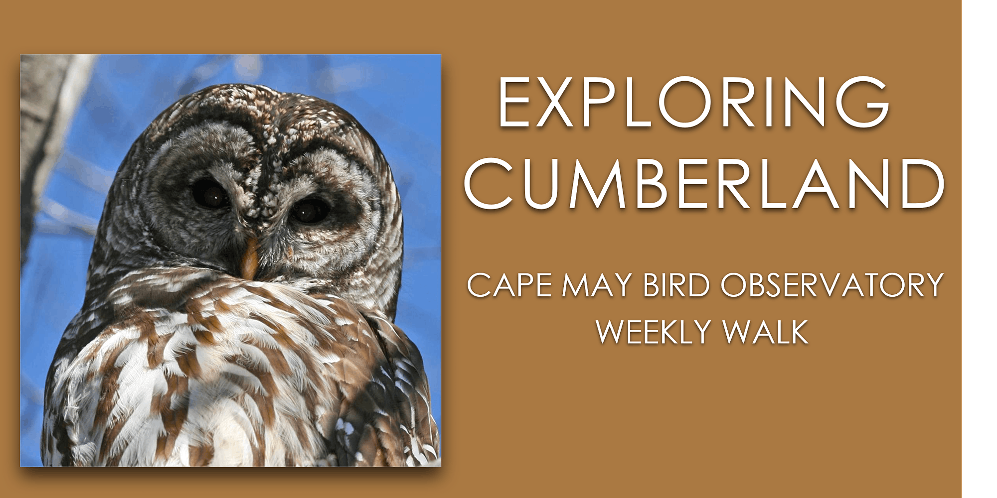 Exploring Cumberland May 5 2021 New Jersey Audubon