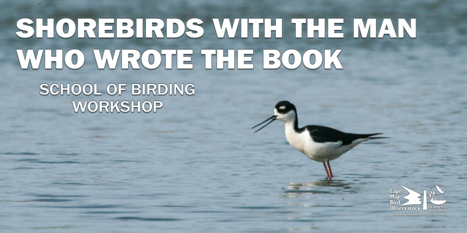 New Jersey Audubon Making New Jersey a Better Place