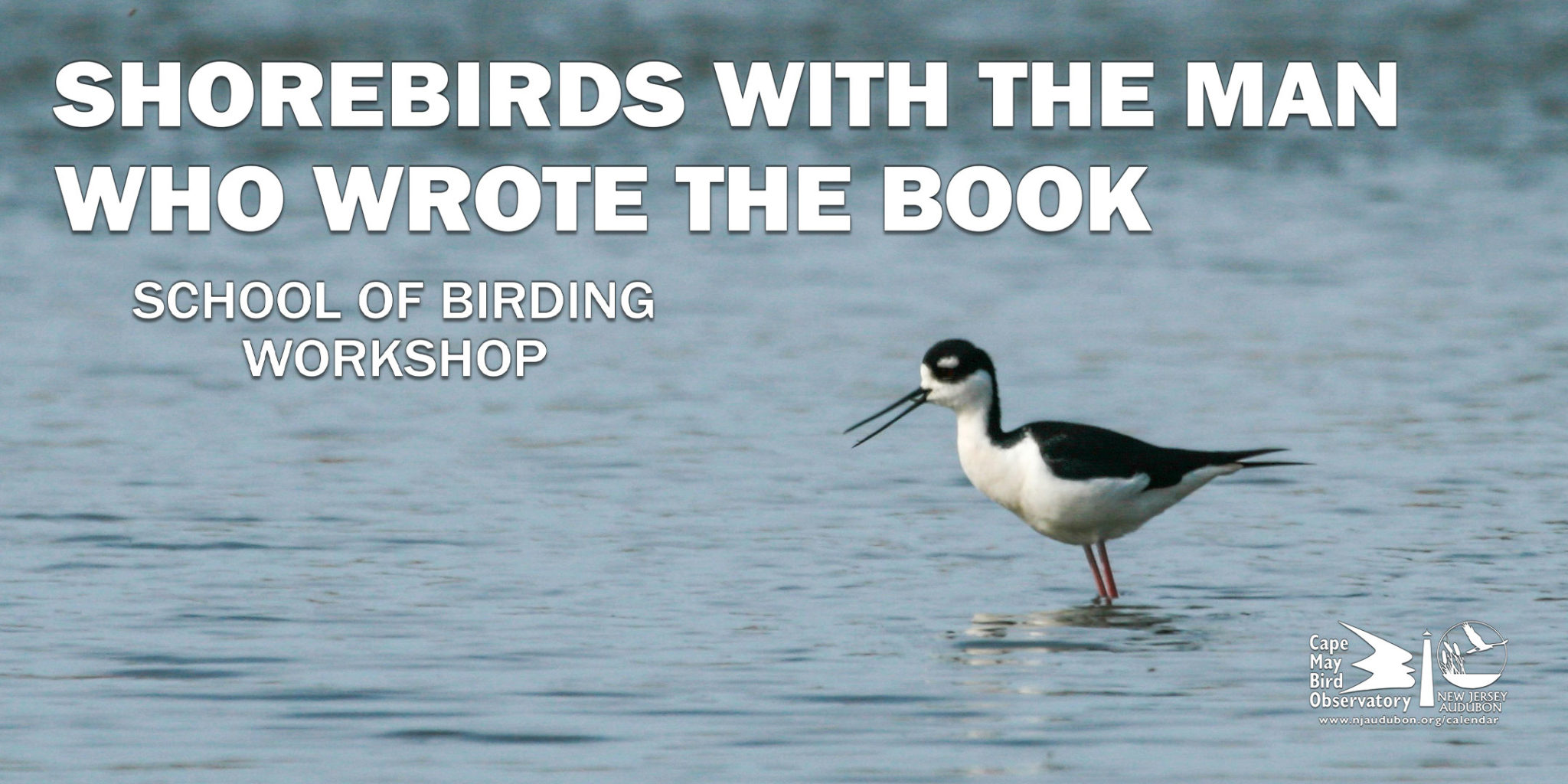 New Jersey Audubon Making New Jersey a Better Place