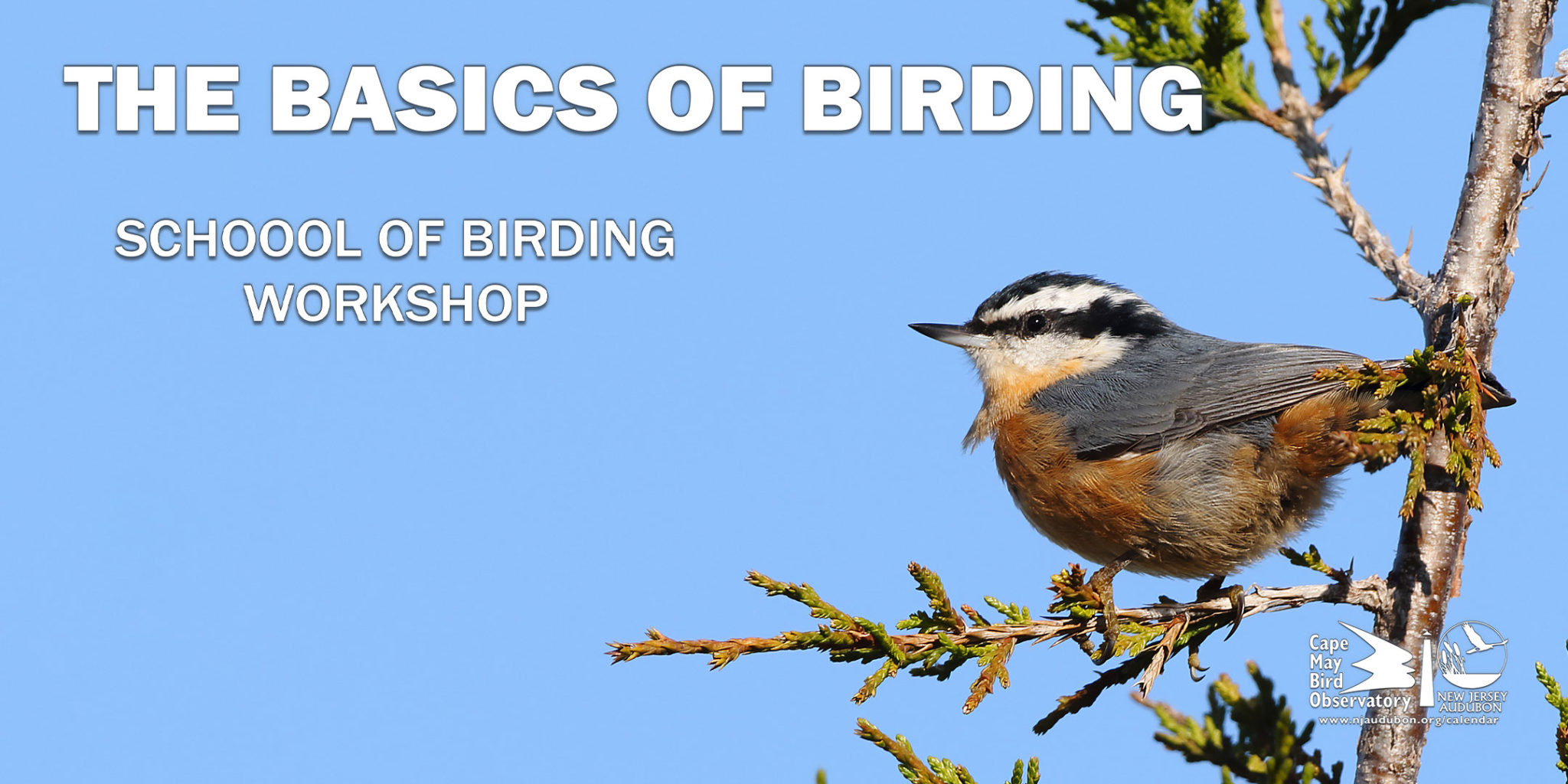 Cape May Fall Festival New Jersey Audubon