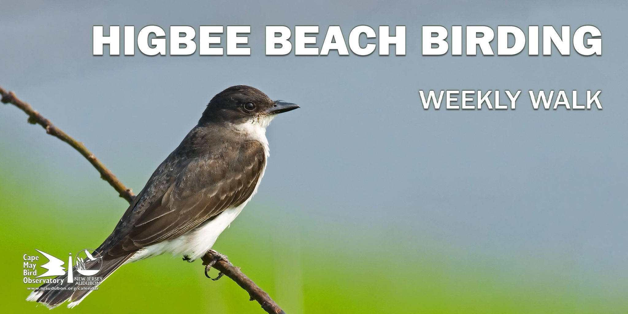 Events for September 2025 âº Cape May Bird Observatoryâs Northwood Center âº | New Jersey Audubon