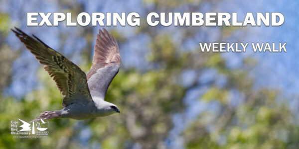 Exploring Cumberland May 1 2024 New Jersey Audubon