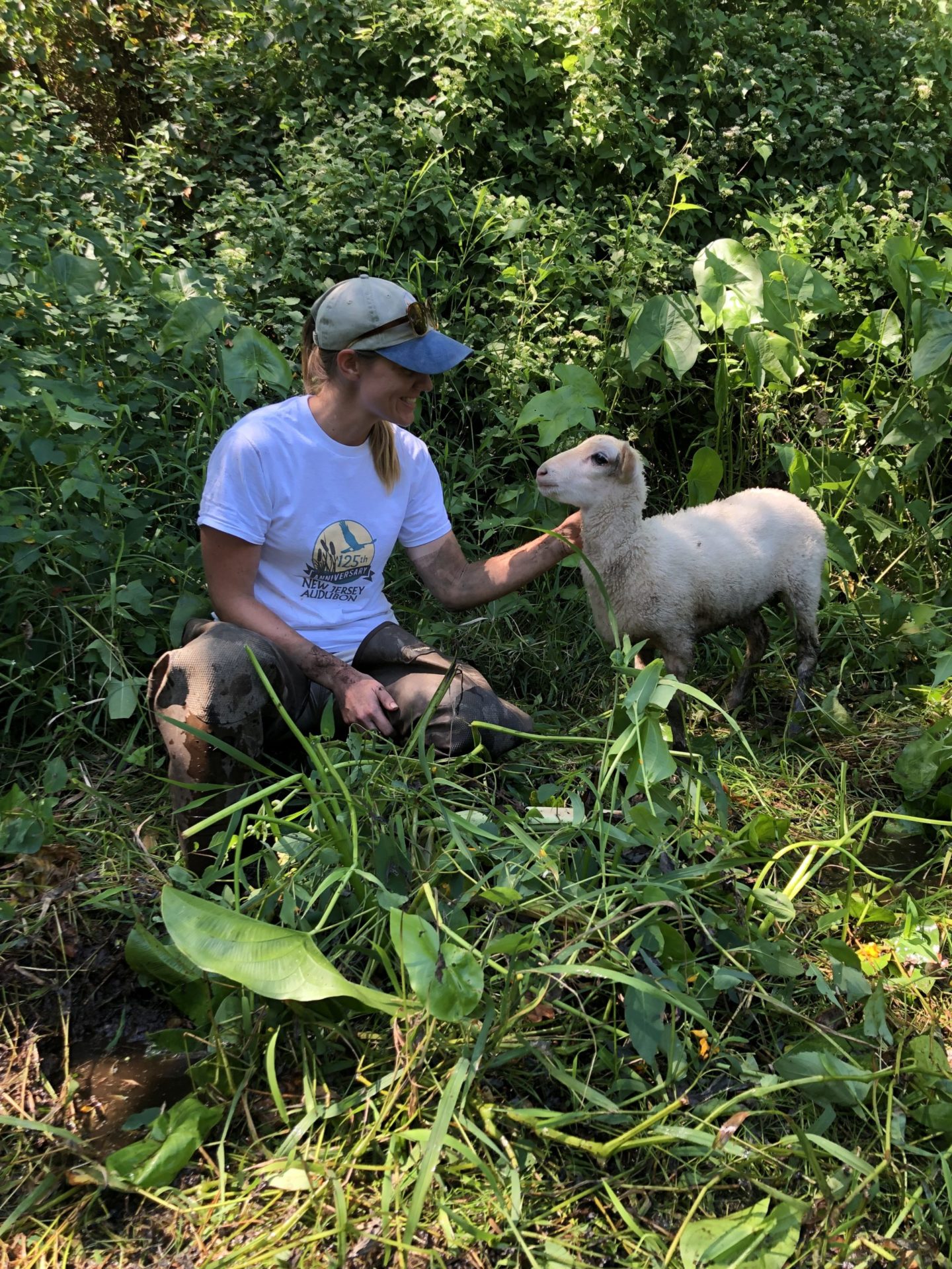 Happy Holidays from the New Jersey Audubon Stewardship Team New