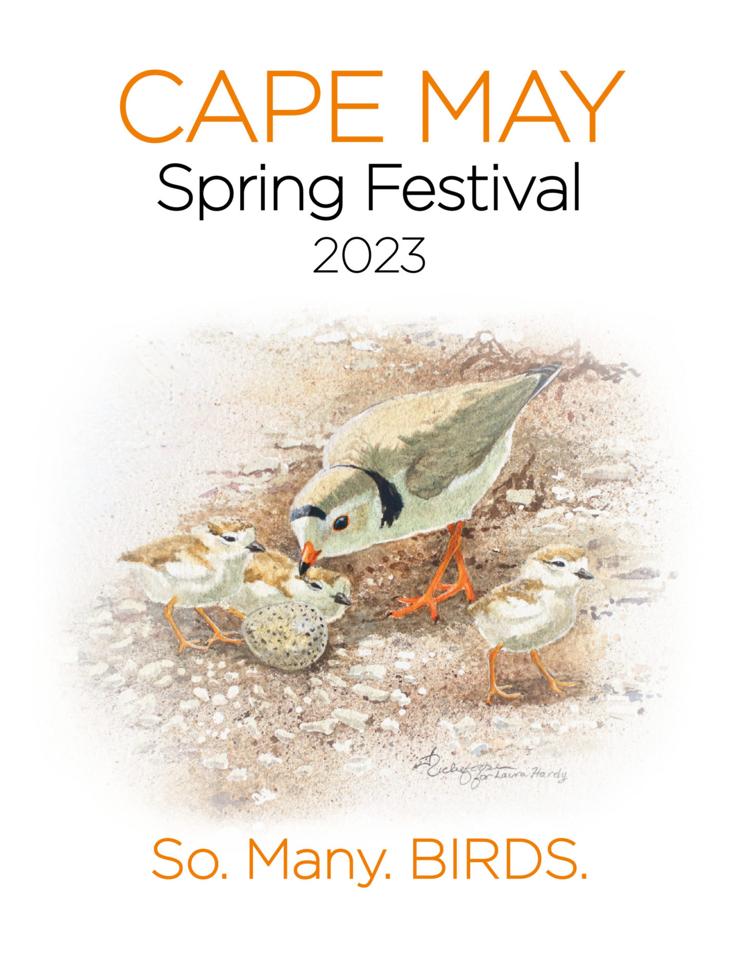 Cape May Spring Festival New Jersey Audubon