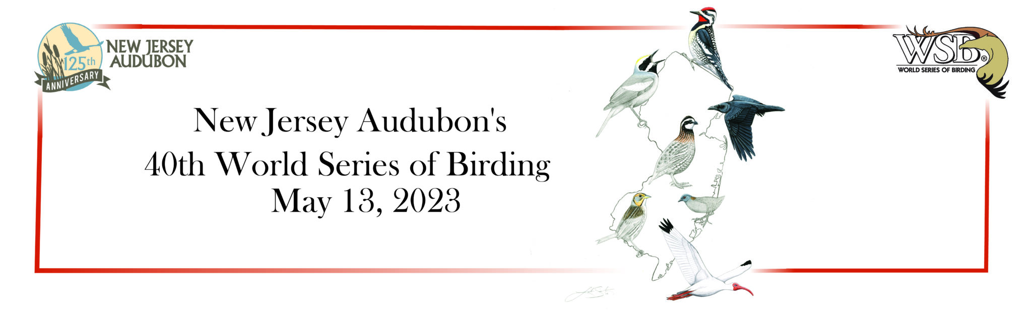 World Series of Birding New Jersey Audubon