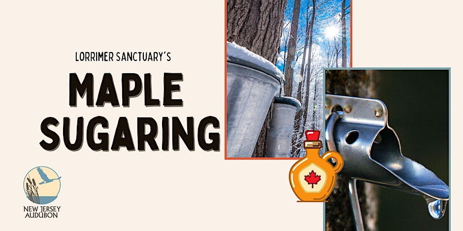 an image from Lorrimer Sanctuary of Maple Sugaring in Franklin Lakes NJ 