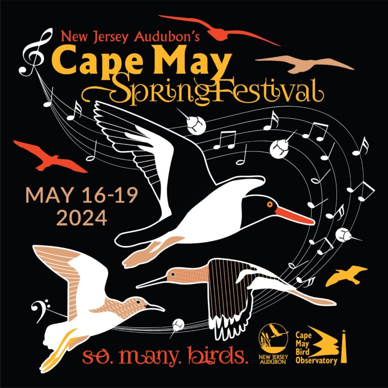 Cape May Spring Festival Saturday May 18, 2024 New Jersey Audubon