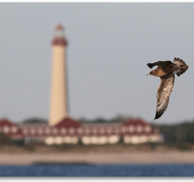 Lighthouse with Jaeger