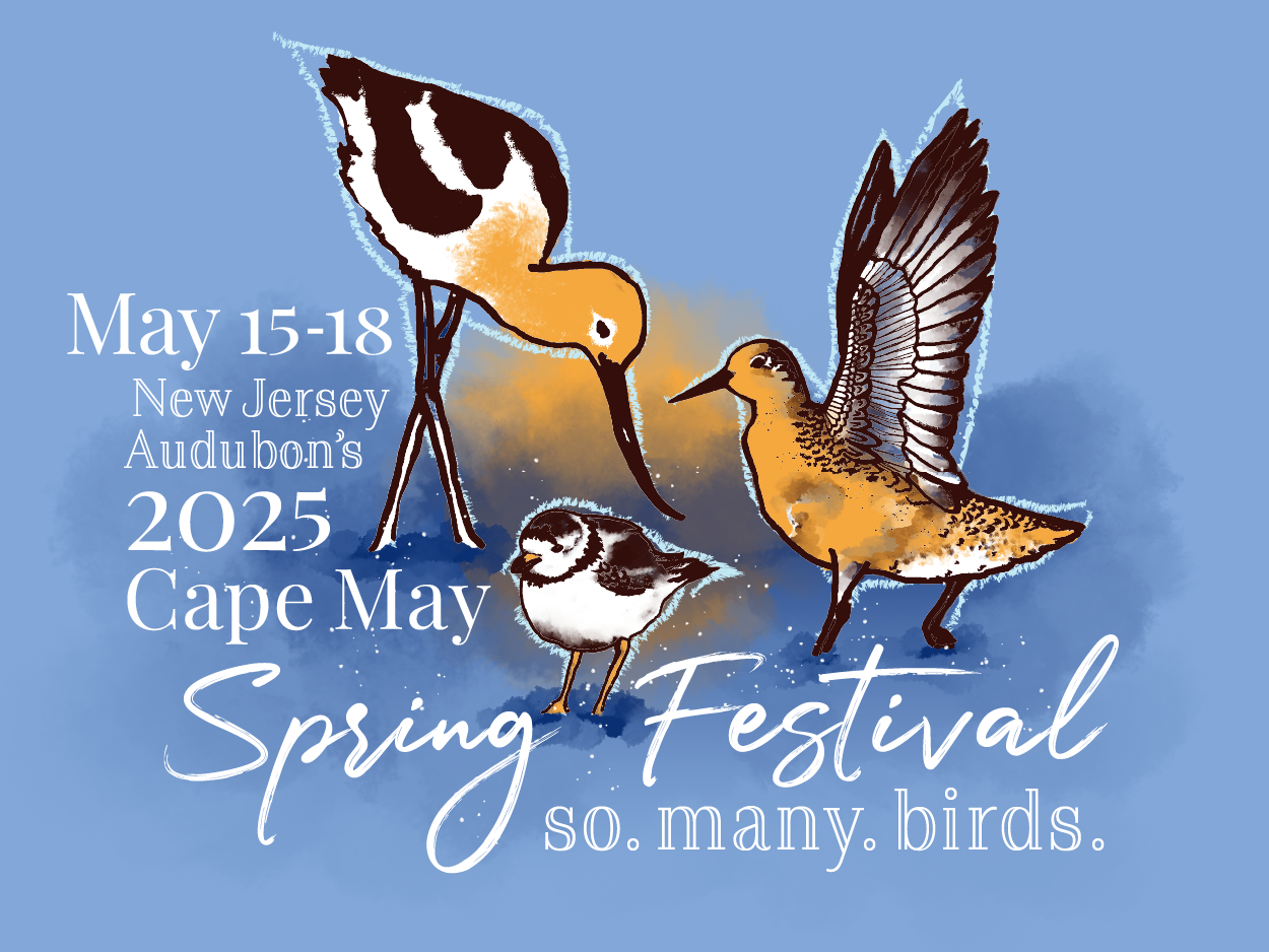 Cape May Spring Festival – Friday May 16, 2025 | New Jersey Audubon