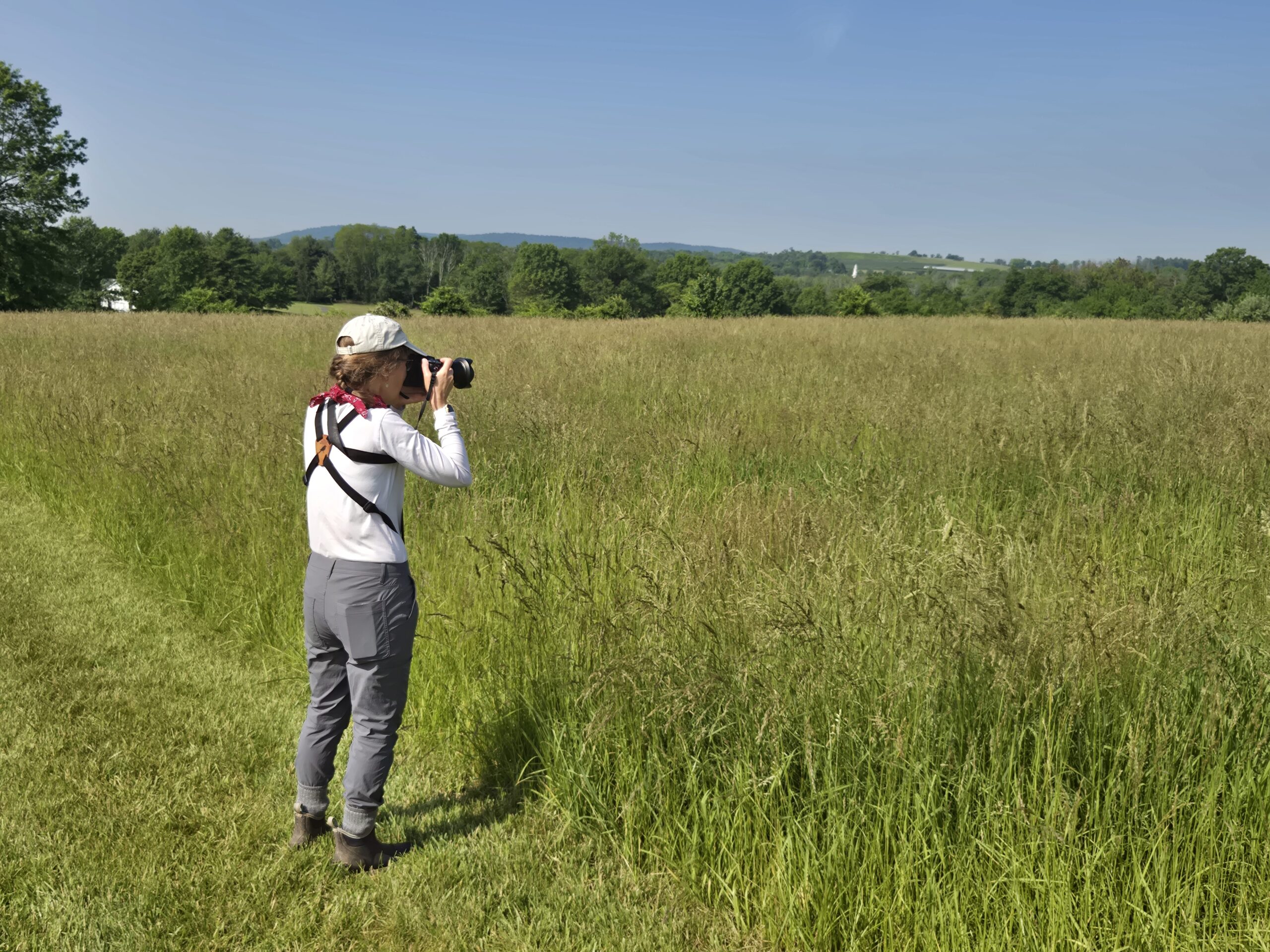 Deb Desalvo_6.4.25-topaz-sharpen