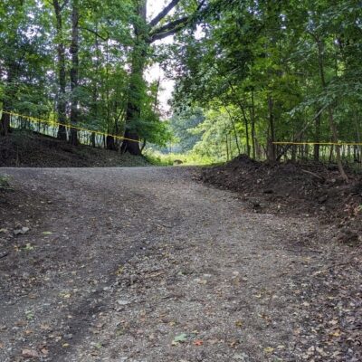 Deer Browse Line Deer Browse Line