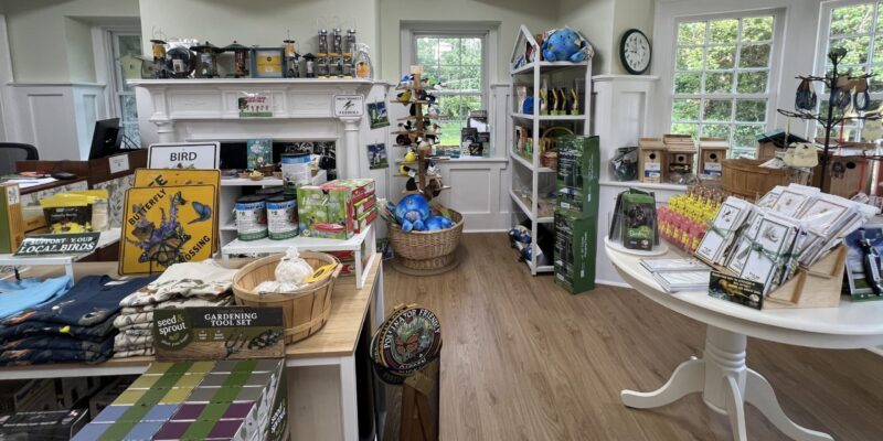 IMG_0963-2-topaz-sharpen Reimagined nature store