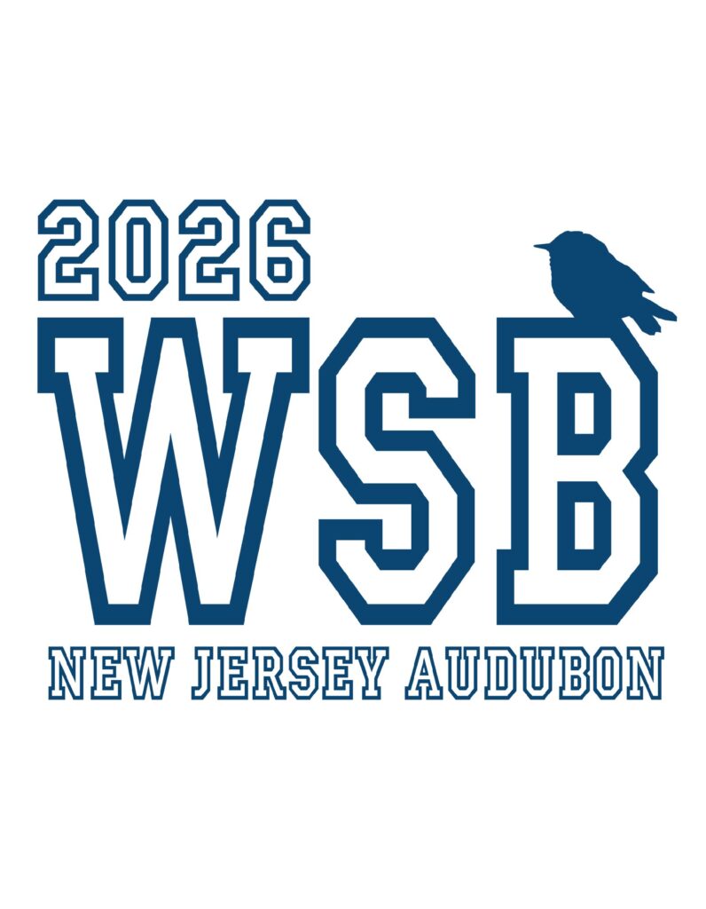 2026 WSB Shirt Mockup