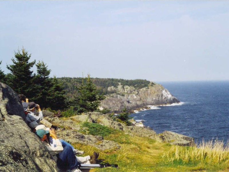 Monhegan_birding