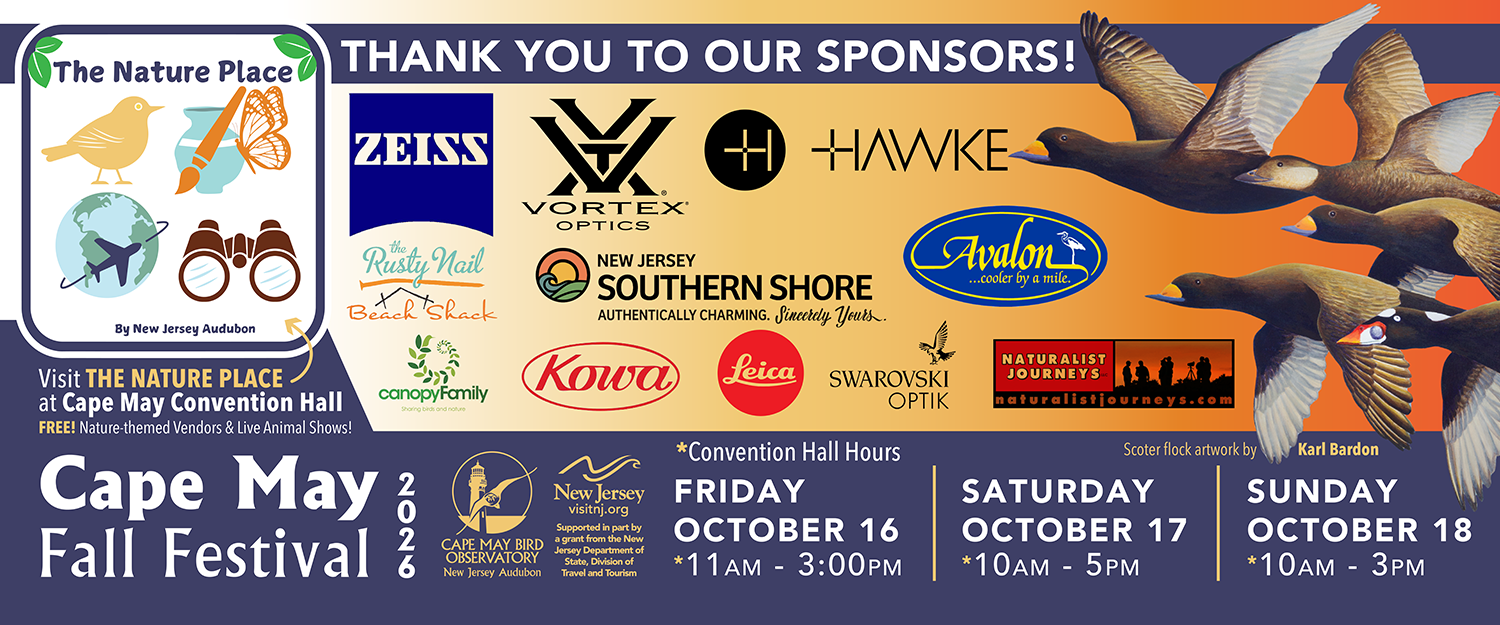 PNG 2024 Fall Festival - Large Banner_72x30 PREVIEW 3
